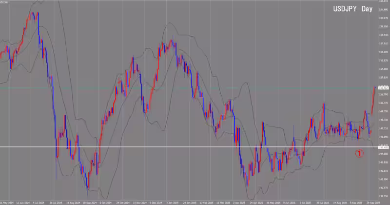 Дневной график